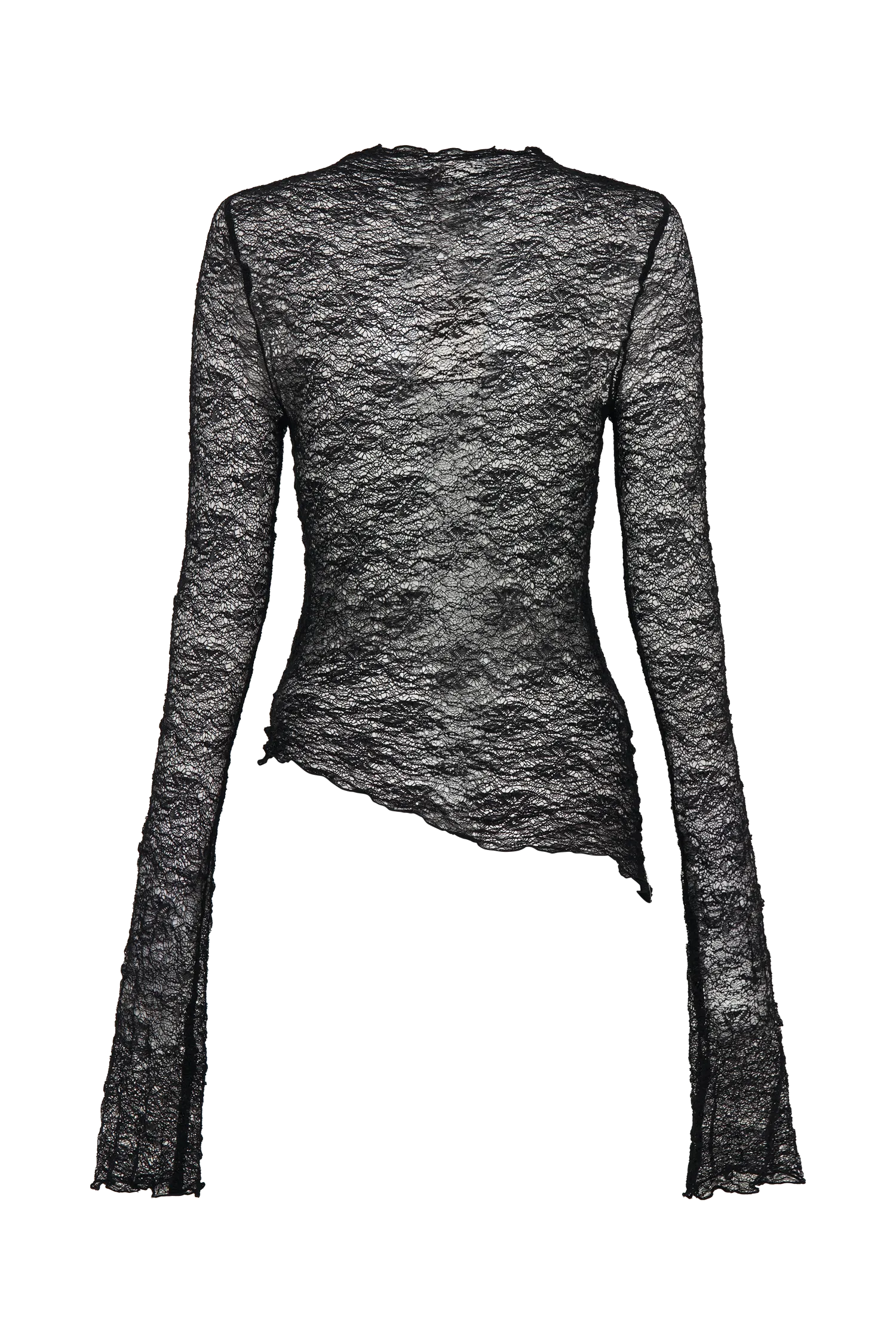 Riley Sheer Lace Long Sleeve Top - Black